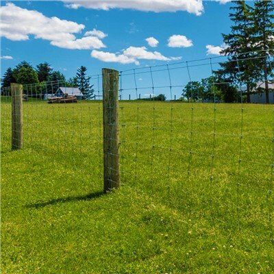 Hàng rào chăn nuôi trang trại